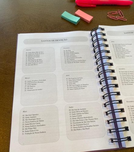 Planner Espiritual - 11 - santos de devocao