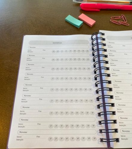 Planner Espiritual - 12 - novenas