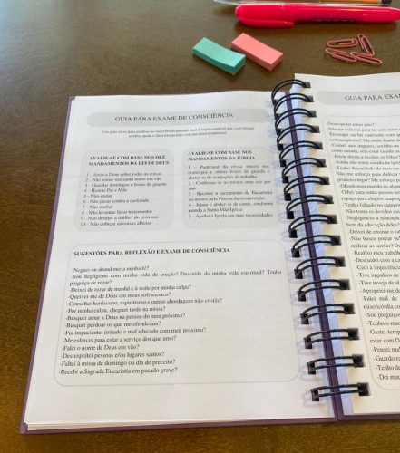 Planner Espiritual - 9 guia para exame de consciencia