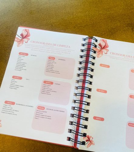 Exemplo de cronograma de limpeza